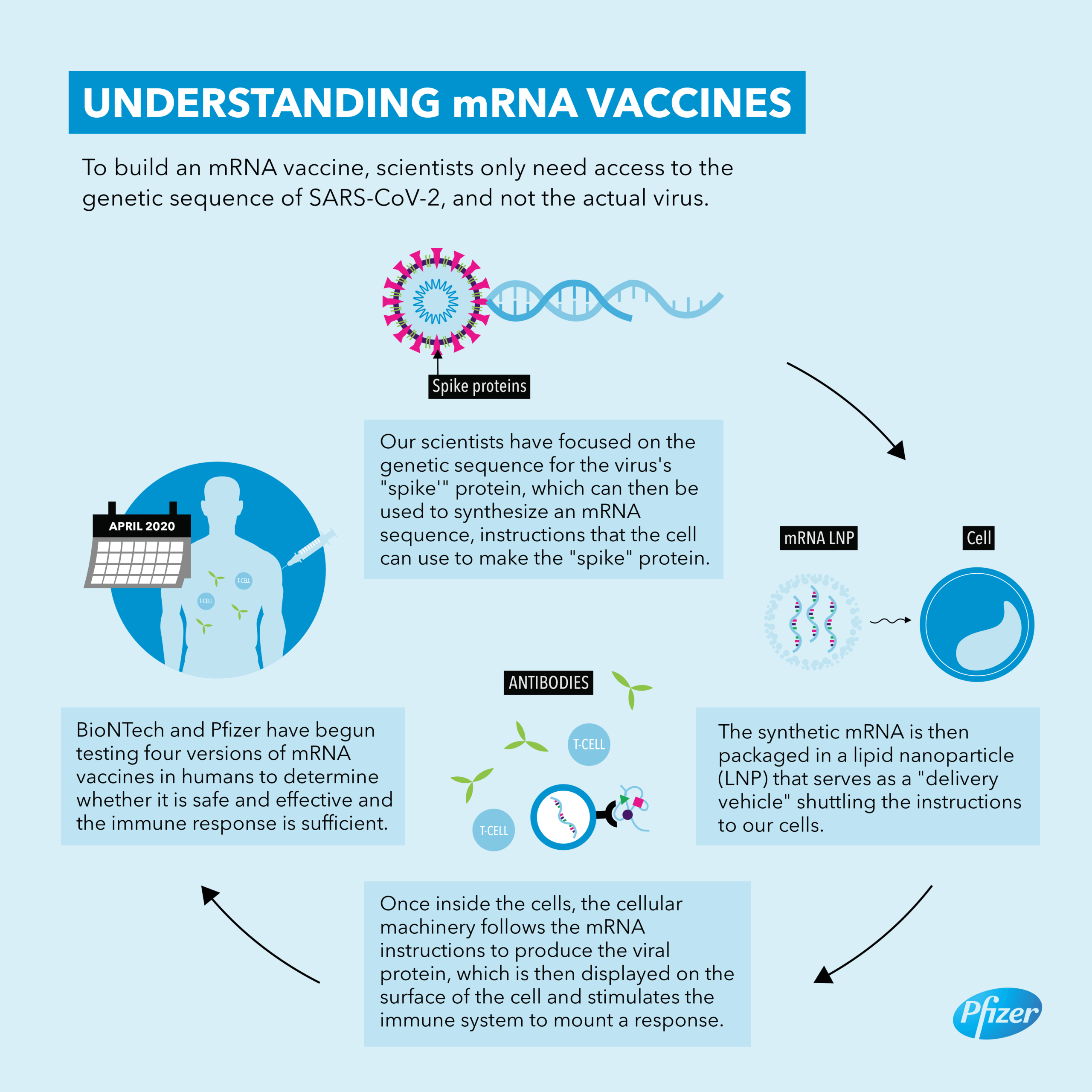 COVID-19 Vaccine Development and Testing at a Record-Setting Rate