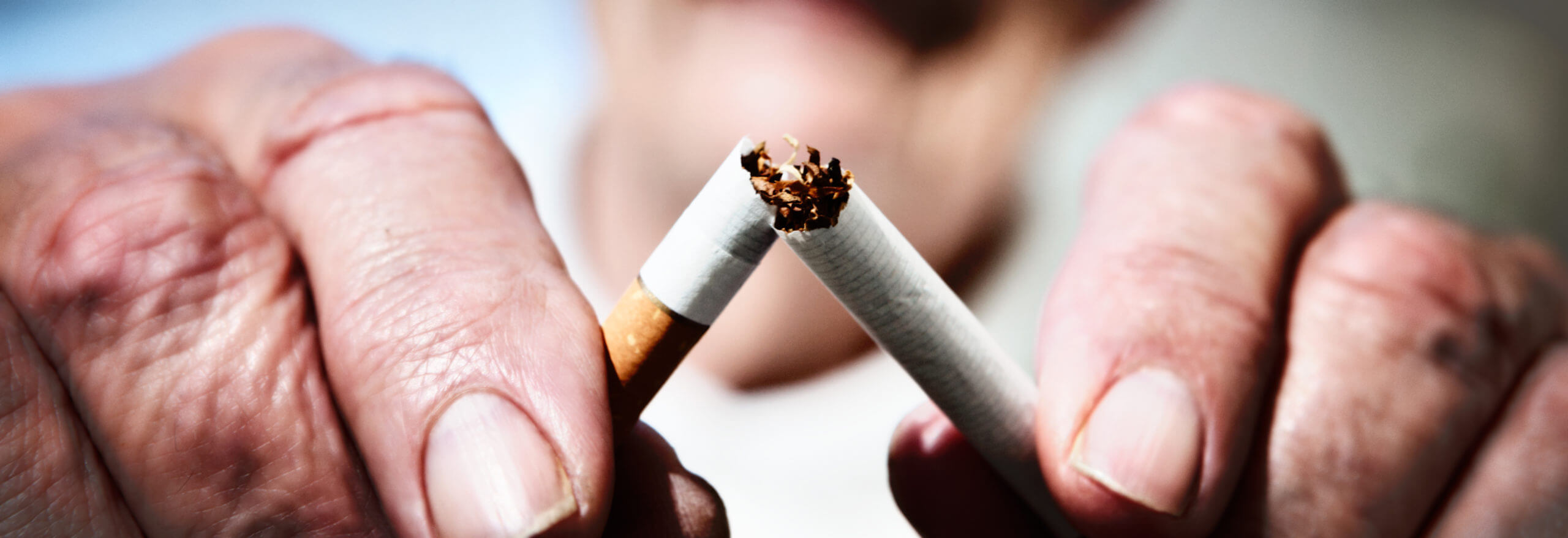 Giving up smoking: wrinkled hands break last cigarette