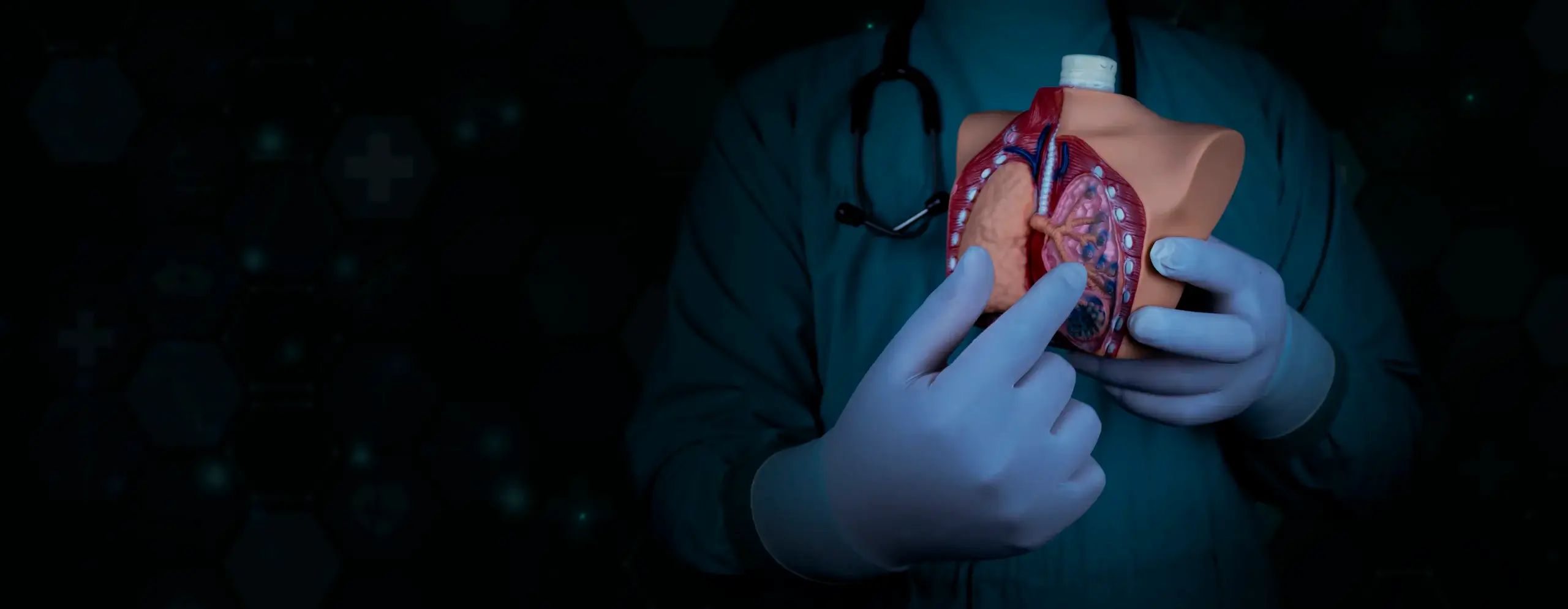 doctor holding lungs