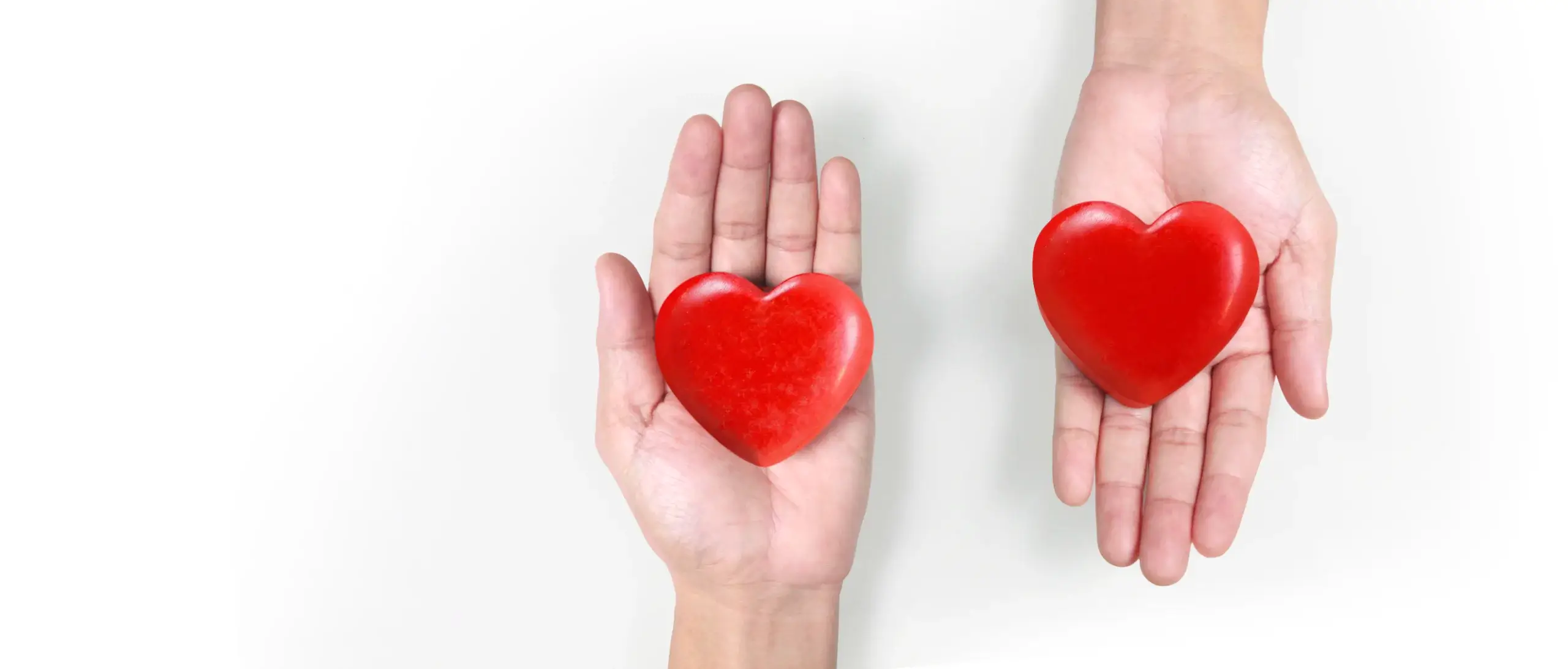 hands holding heart to represent organ donation
