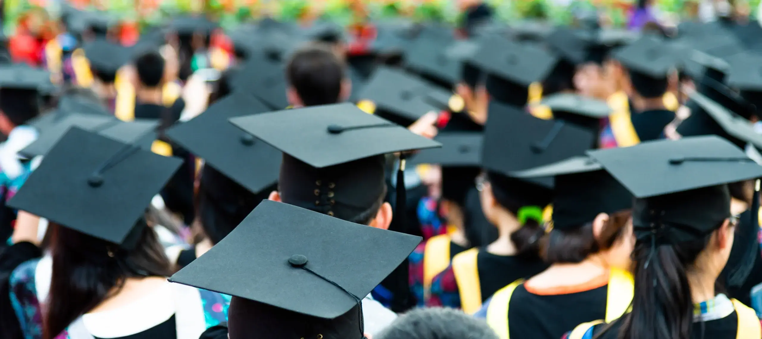 graduation stock photo